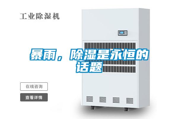 暴雨，除湿是永恒的话题