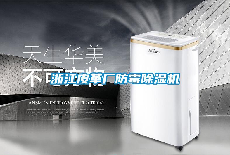 浙江皮革厂防霉除湿机