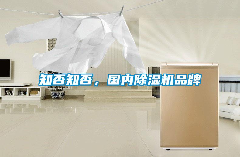 知否知否，国内除湿机品牌