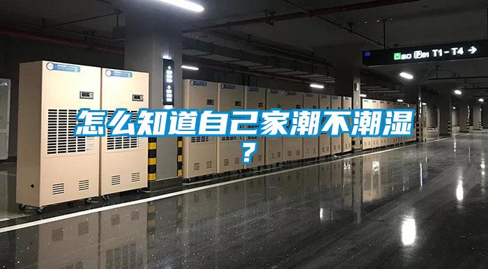 怎么知道自己家潮不潮湿？