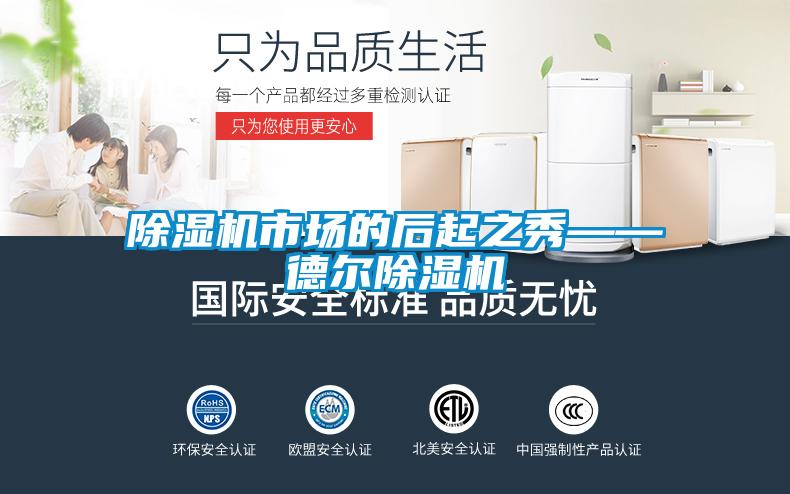 除湿机市场的后起之秀——德尔除湿机