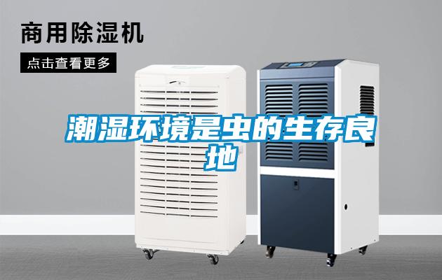 潮湿环境是虫的生存良地