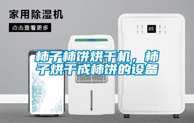 柿子柿饼烘干机，柿子烘干成柿饼的设备