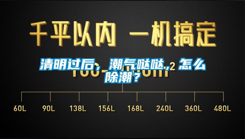 清明过后，潮气哒哒，怎么除潮？