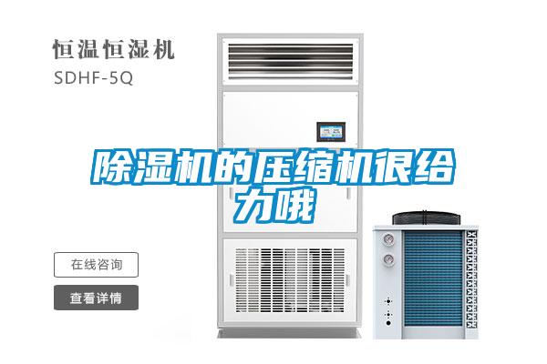 除湿机的压缩机很给力哦