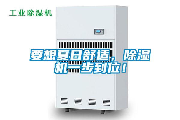 要想夏日舒适，除湿机一步到位！