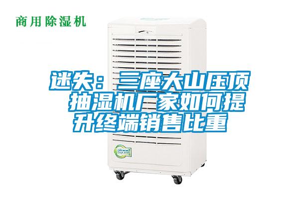 迷失:三座大山压顶 抽湿机厂家如何提升终端销售比重
