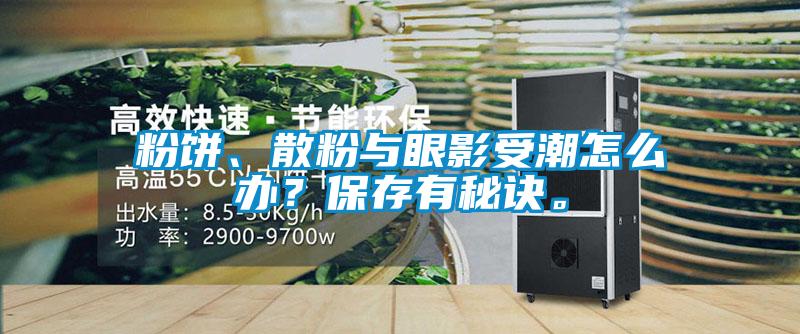 粉饼、散粉与眼影受潮怎么办？保存有秘诀。