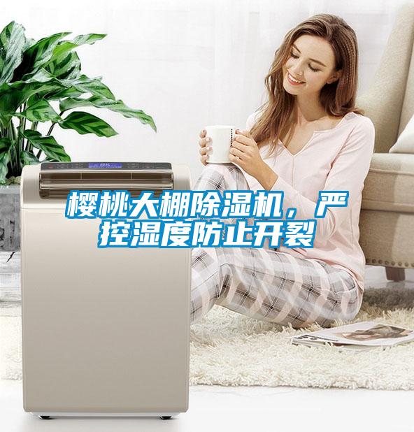 樱桃大棚除湿机，严控湿度防止开裂