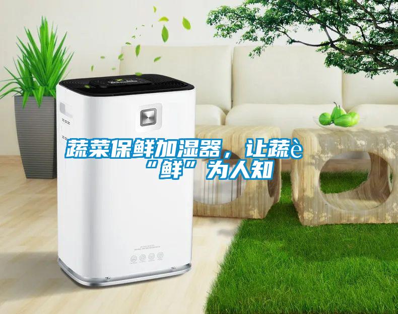 蔬菜保鲜加湿器，让蔬菜“鲜”为人知