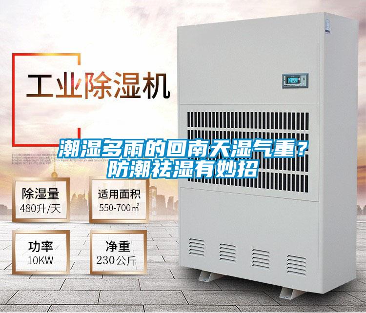 潮湿多雨的回南天湿气重？防潮祛湿有妙招