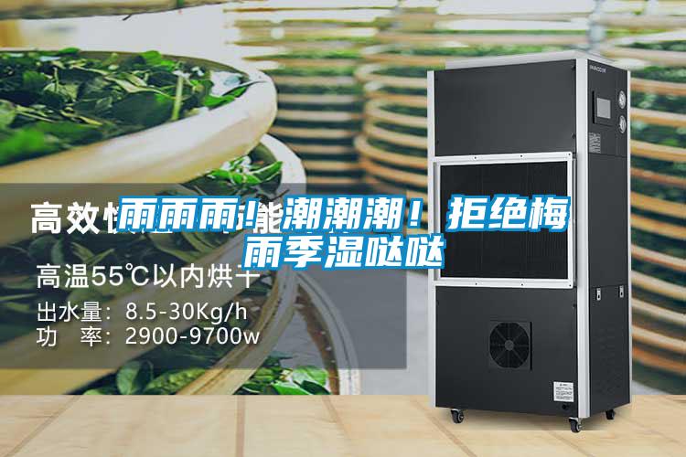 雨雨雨！潮潮潮！拒绝梅雨季湿哒哒