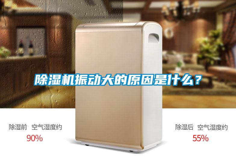 除湿机振动大的原因是什么？