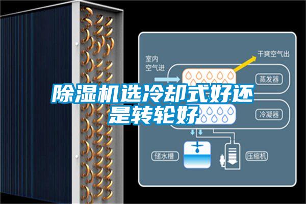 除湿机选冷却式好还是转轮好