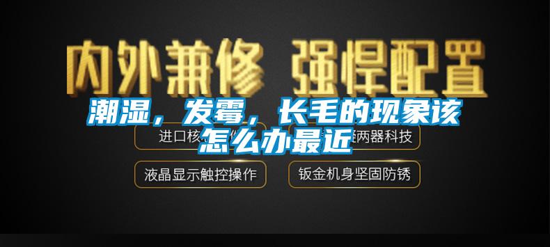 潮湿，发霉，长毛的现象该怎么办最近