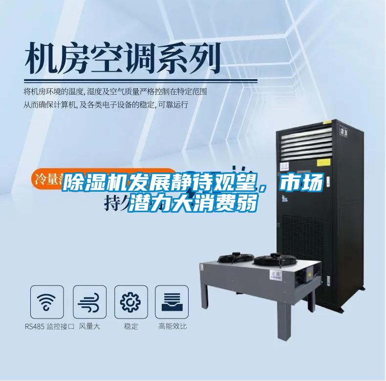 除湿机发展静待观望，市场潜力大消费弱
