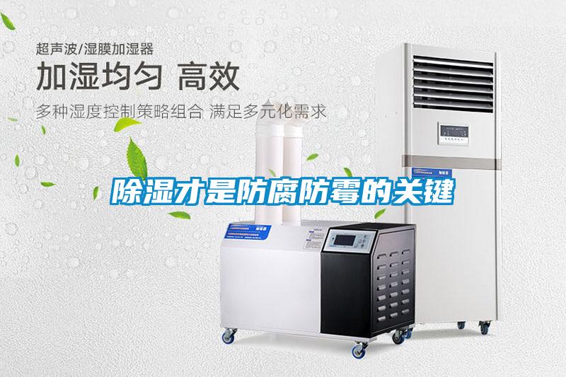 除湿才是防腐防霉的关键