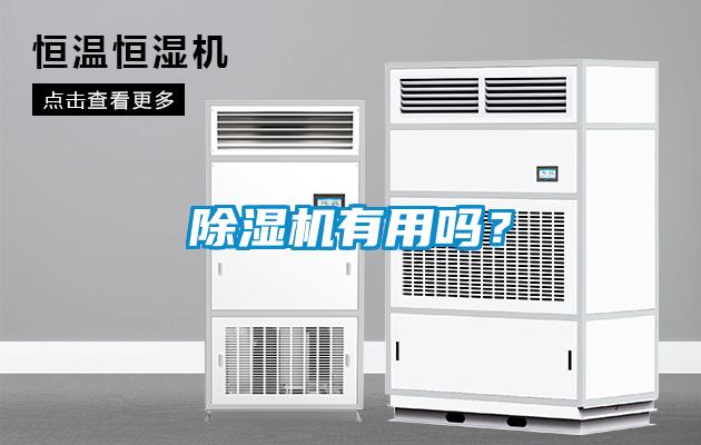 除湿机有用吗？