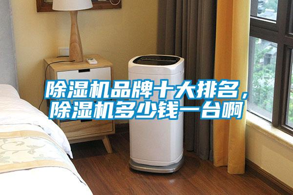 除湿机品牌十大排名，除湿机多少钱一台啊