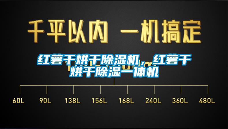 红薯干烘干除湿机,红薯干烘干除湿一体机