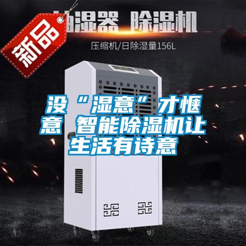 没“湿意”才惬意 智能除湿机让生活有诗意