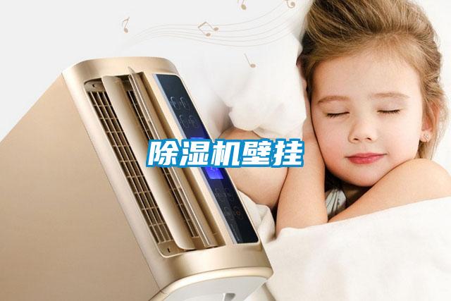 除湿机壁挂