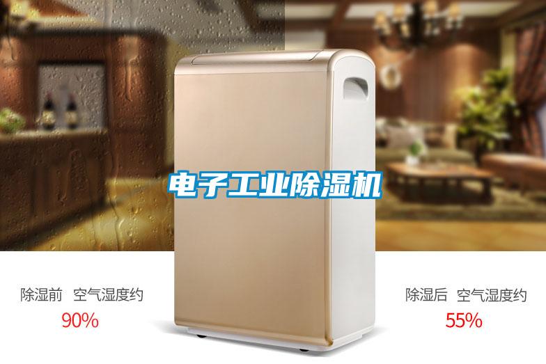 电子工业除湿机