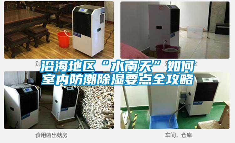 沿海地区“水南天”如何室内防潮除湿要点全攻略