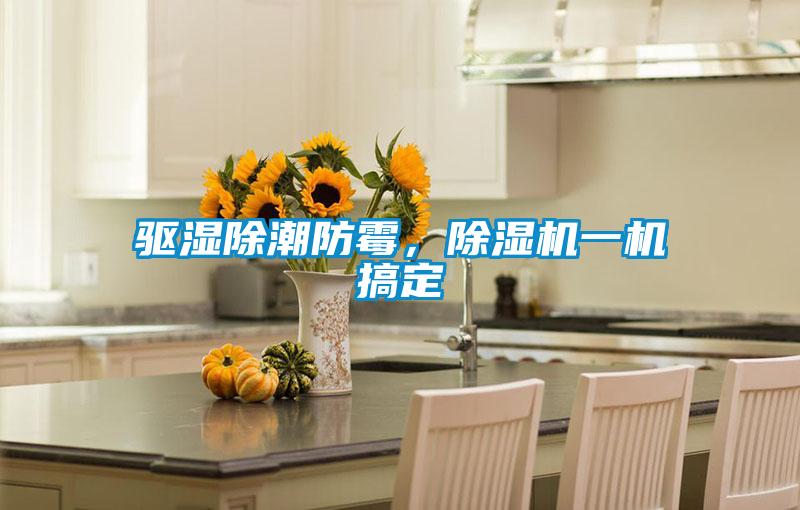 驱湿除潮防霉，除湿机一机搞定