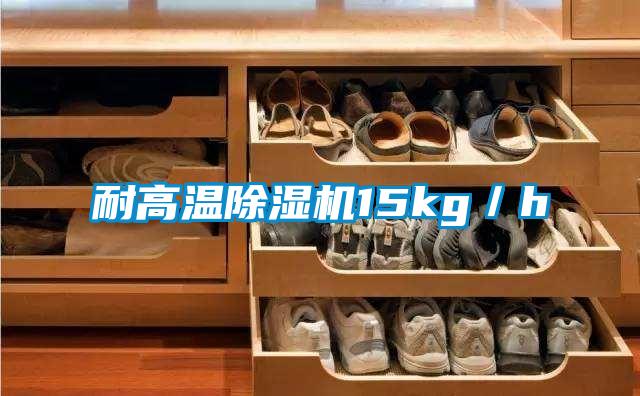 耐高温除湿机15kg／h