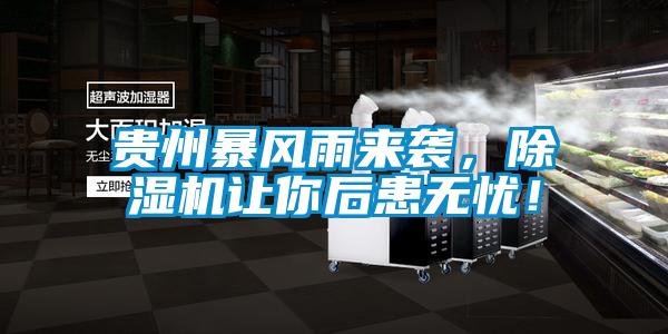 贵州暴风雨来袭，除湿机让你后患无忧！