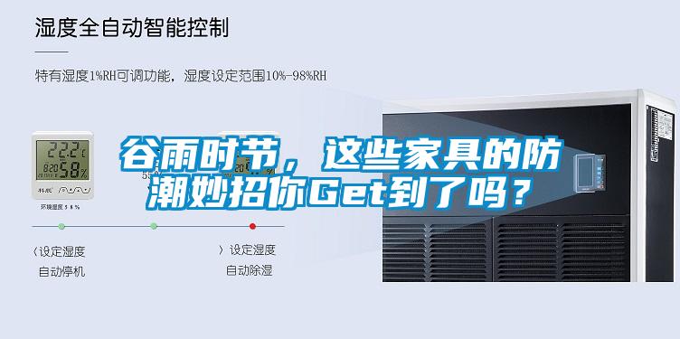 谷雨时节，这些家具的防潮妙招你Get到了吗？