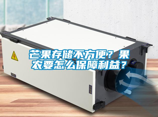 芒果存储不方便？果农要怎么保障利益？