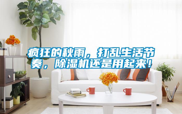 疯狂的秋雨，打乱生活节奏，除湿机还是用起来！