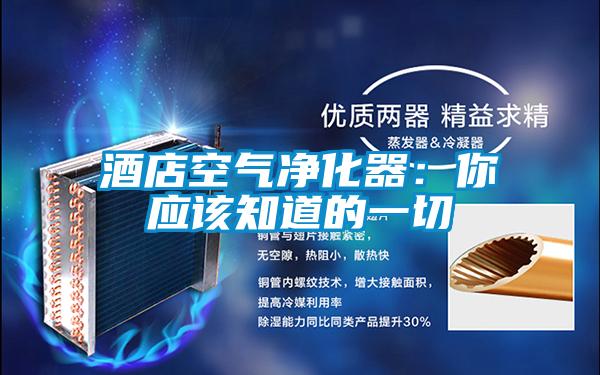 酒店空气净化器：你应该知道的一切