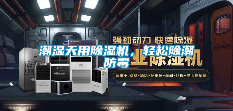 潮湿天用除湿机，轻松除潮防霉