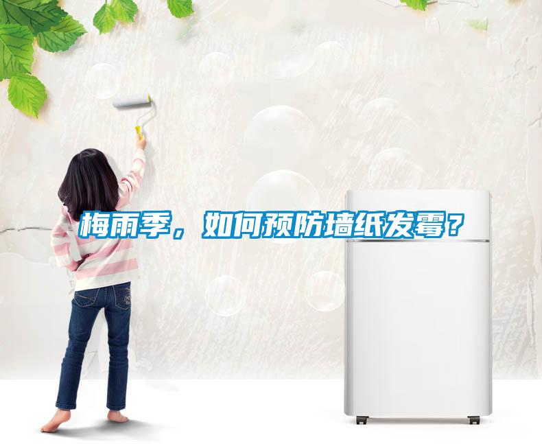 梅雨季，如何预防墙纸发霉？