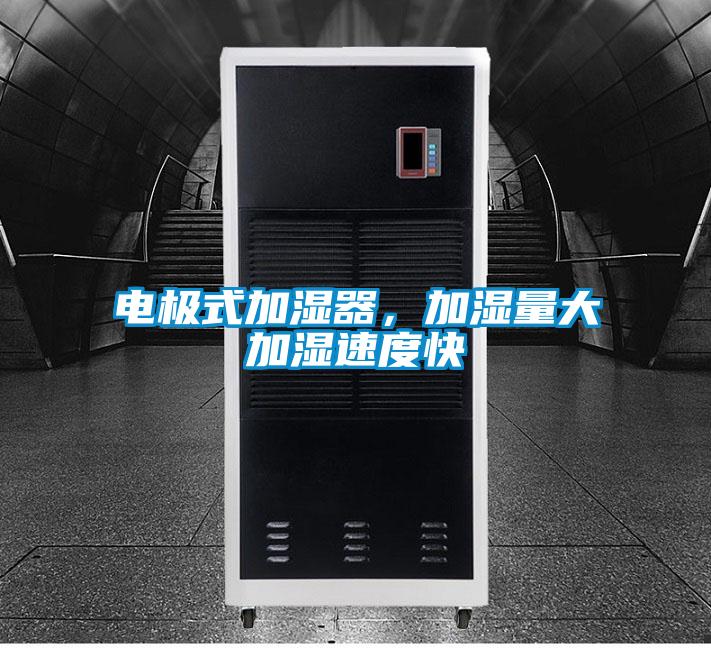 电极式加湿器，加湿量大加湿速度快