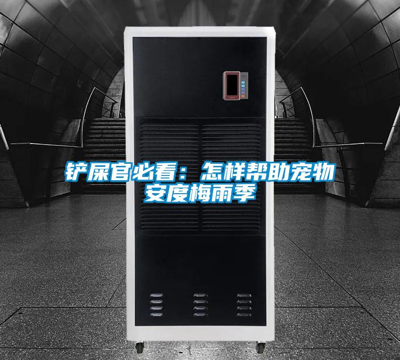 铲屎官必看：怎样帮助宠物安度梅雨季