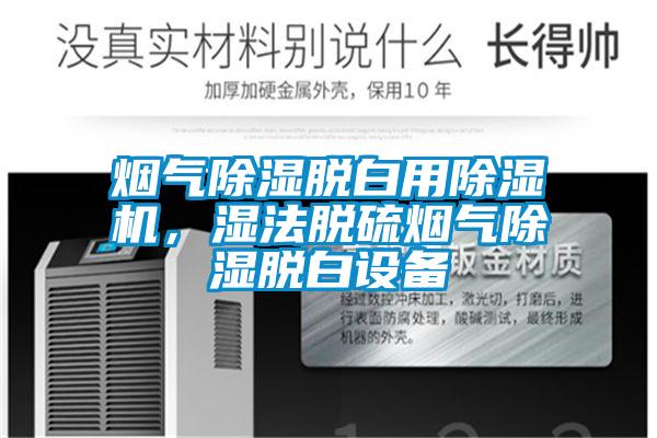 烟气除湿脱白用除湿机，湿法脱硫烟气除湿脱白设备