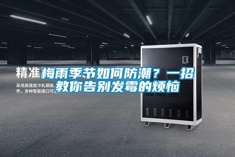 梅雨季节如何防潮?一招教你告别发霉的烦恼