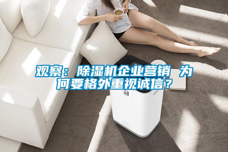 观察：除湿机企业营销 为何要格外重视诚信？