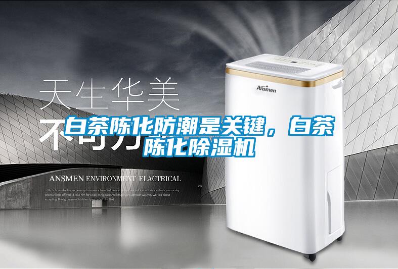 白茶陈化防潮是关键，白茶陈化除湿机