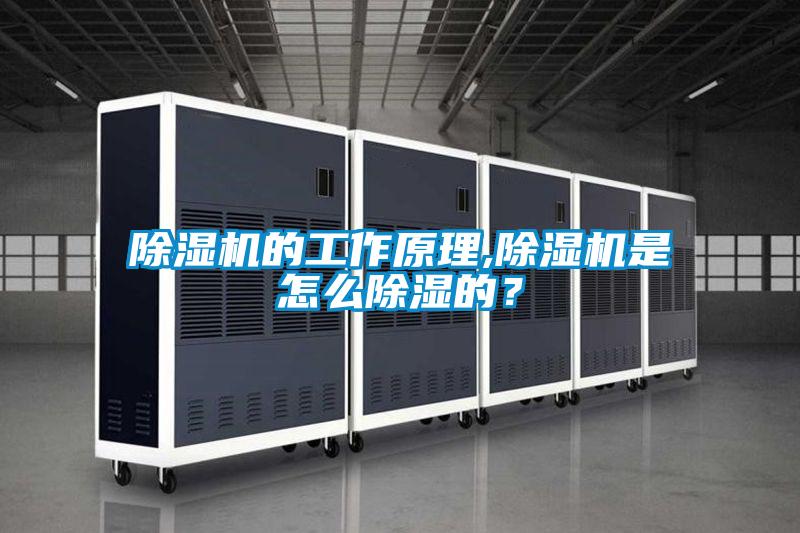 除湿机的工作原理,除湿机是怎么除湿的？