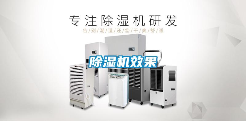 除湿机效果