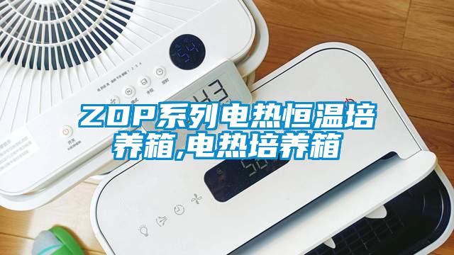 ZDP系列电热恒温培养箱,电热培养箱