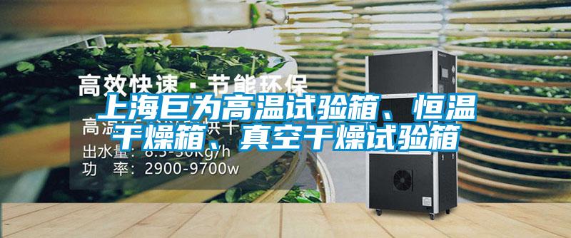 上海巨为高温试验箱、恒温干燥箱、真空干燥试验箱