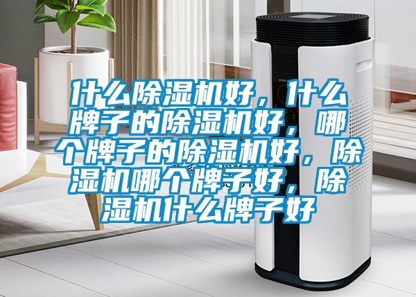 什么除湿机好，什么牌子的除湿机好，哪个牌子的除湿机好，除湿机哪个牌子好，除湿机什么牌子好
