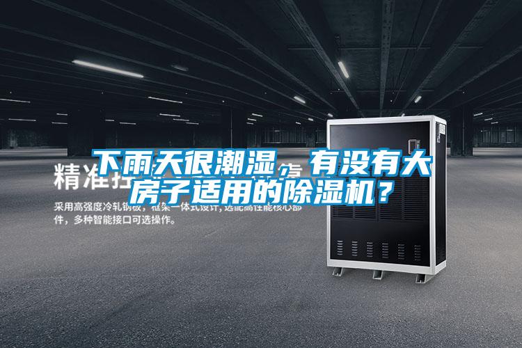 下雨天很潮湿，有没有大房子适用的除湿机？