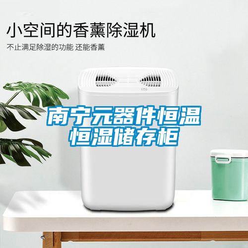 南宁元器件恒温恒湿储存柜